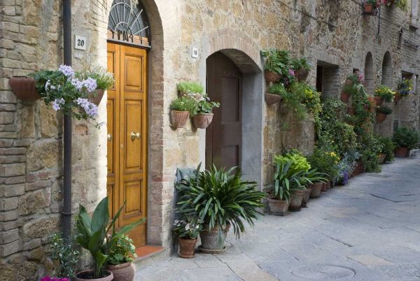 Italy, Pienza Potted plants line narrow streets
